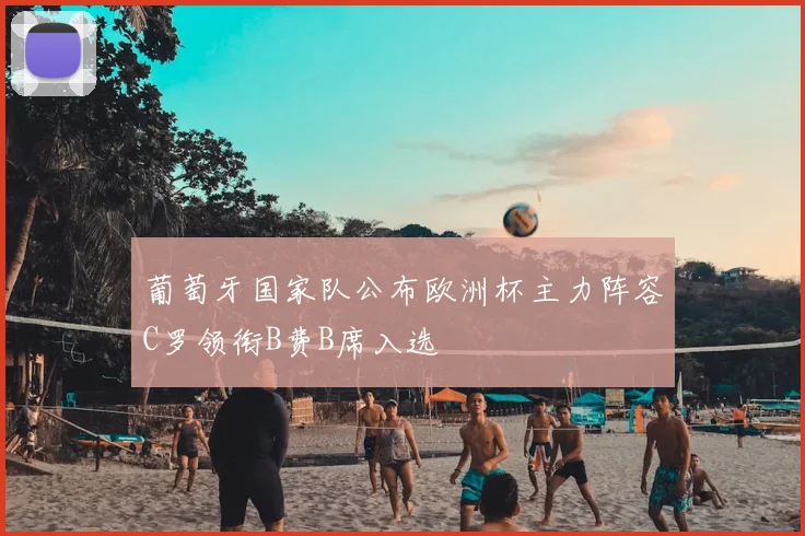 葡萄牙国家队公布欧洲杯主力阵容C罗领衔B费B席入选