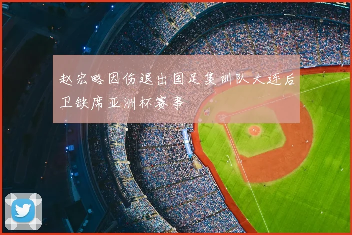 赵宏略因伤退出国足集训队大连后卫缺席亚洲杯赛事