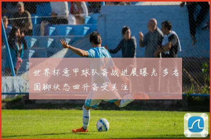 世界杯意甲球队备战进展曝光 多名国脚状态回升备受关注