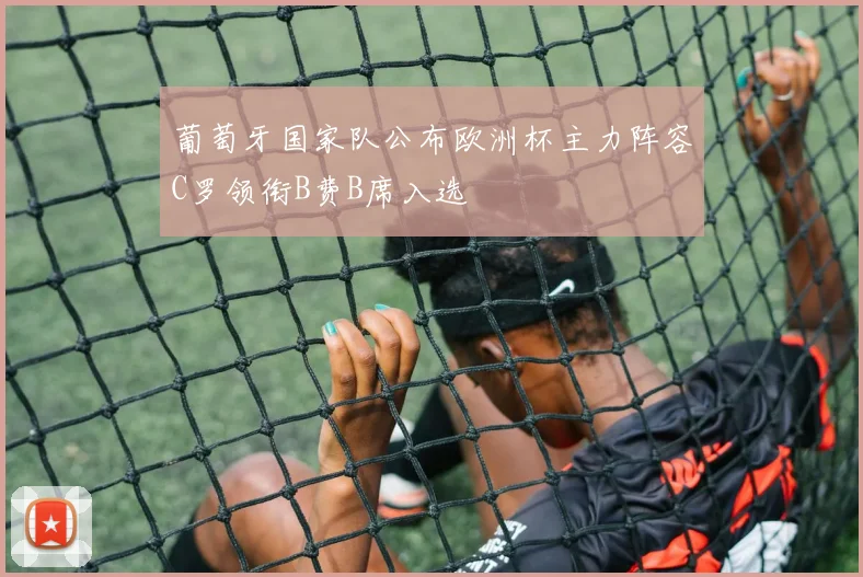 葡萄牙国家队公布欧洲杯主力阵容C罗领衔B费B席入选