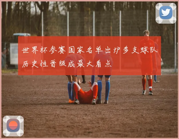 世界杯参赛国家名单出炉多支球队历史性晋级成最大看点