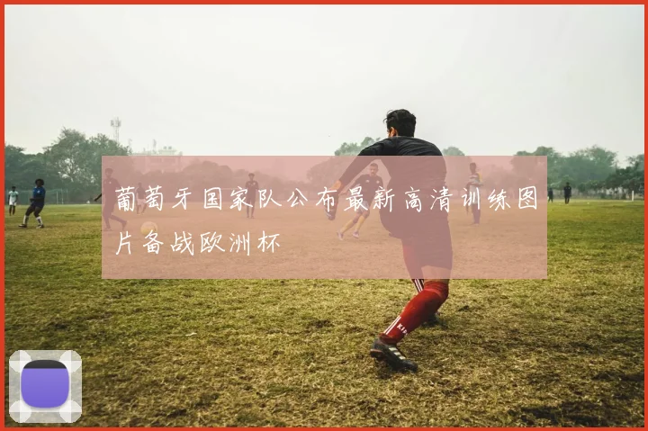 葡萄牙国家队公布最新高清训练图片备战欧洲杯