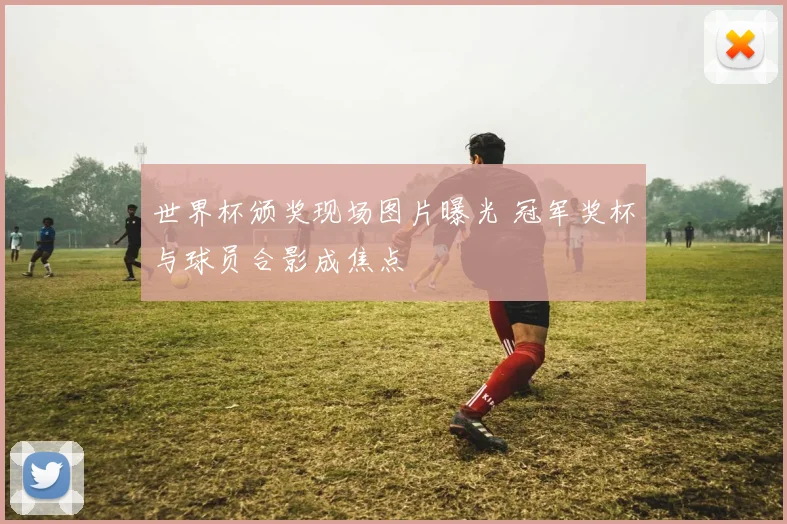 世界杯颁奖现场图片曝光 冠军奖杯与球员合影成焦点